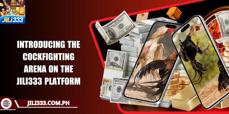 Introducing the cockfighting arena on the JILI333 platform